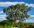 images/Schweden/Schweden 2025/DSC02443.jpg